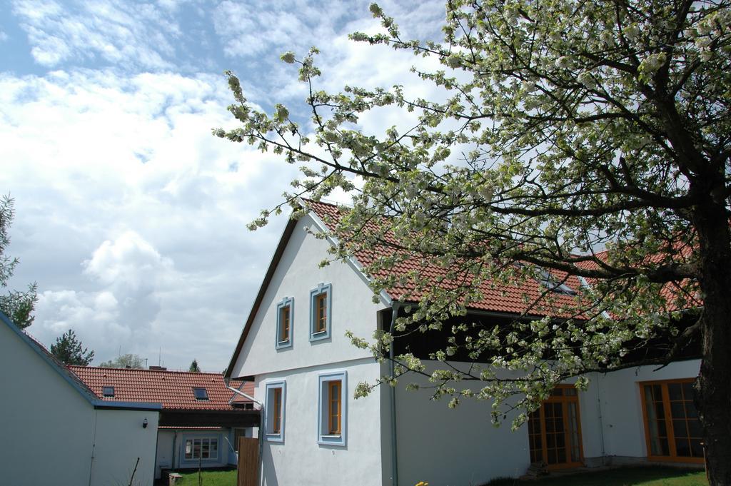 Boretinsky Statek Esterno foto